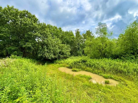 TBD89 County 13 Houston MN 55943