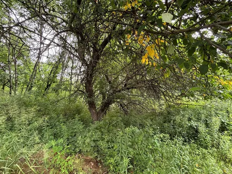 TBD89 County 13 Houston MN 55943