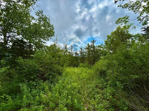 TBD89 County 13 Houston MN 55943