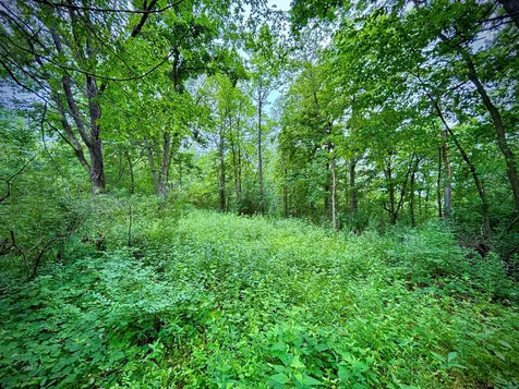 TBD89 County 13 Houston MN 55943