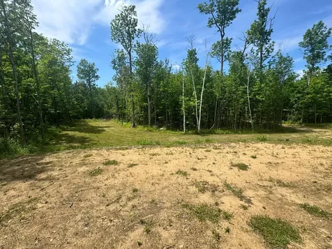 Tbd S Gull Lake Road NE Tenstrike MN 56683