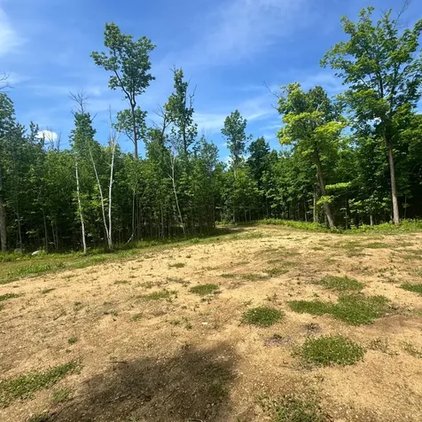 Tbd S Gull Lake Road NE Tenstrike MN 56683