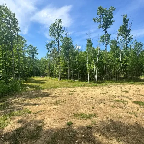 Tbd S Gull Lake Road NE Tenstrike MN 56683