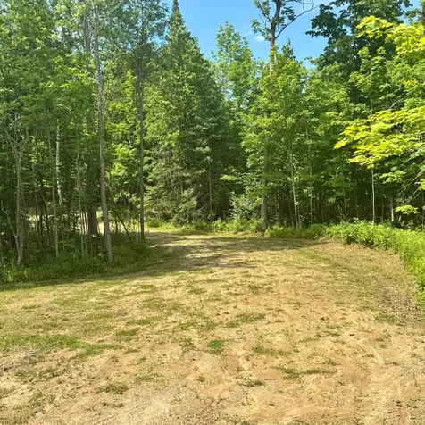 Tbd S Gull Lake Road NE Tenstrike MN 56683