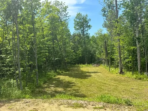 Tbd S Gull Lake Rd NE Road NE Tenstrike MN 56683