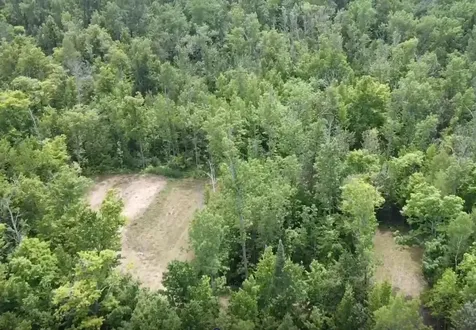 Tbd S Gull Lake Road NE Tenstrike MN 56683