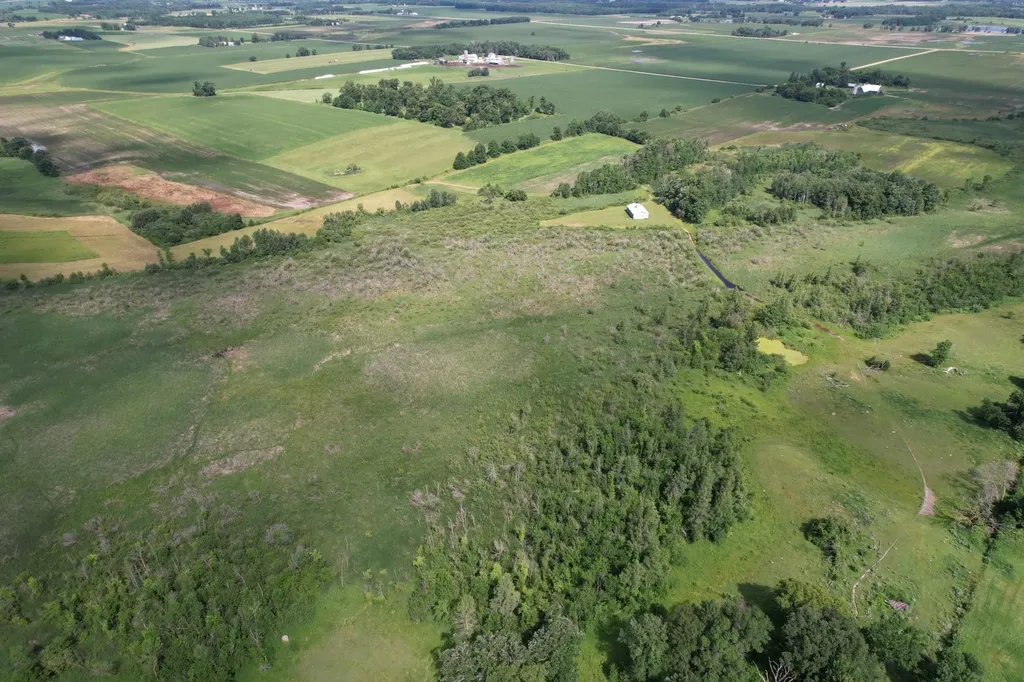 Tbd 215th Avenue Long Prairie MN 56347
