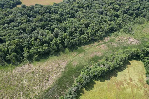 Tbd 215th Avenue Long Prairie MN 56347
