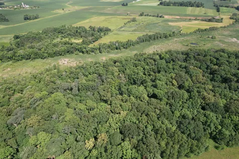 Tbd 215th Avenue Long Prairie MN 56347
