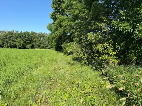 Tbd 215th Avenue Long Prairie MN 56347