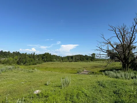 Tbd 215th Avenue Long Prairie MN 56347
