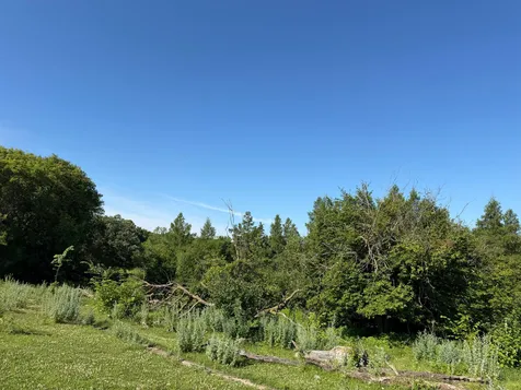Tbd 215th Avenue Long Prairie MN 56347