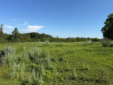 Tbd 215th Avenue Long Prairie MN 56347