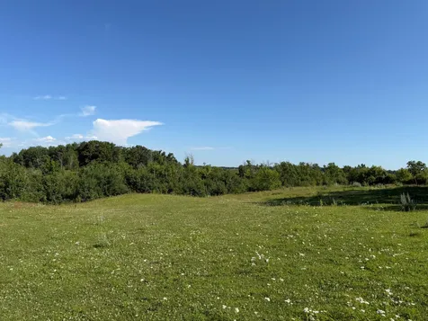 Tbd 215th Avenue Long Prairie MN 56347