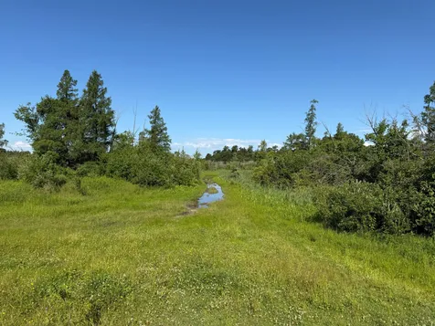 Tbd 215th Avenue Long Prairie MN 56347