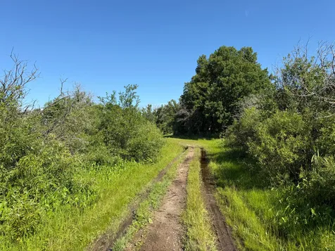 Tbd 215th Avenue Long Prairie MN 56347