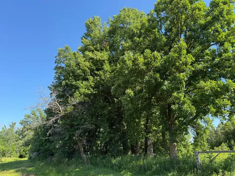Tbd 215th Avenue Long Prairie MN 56347
