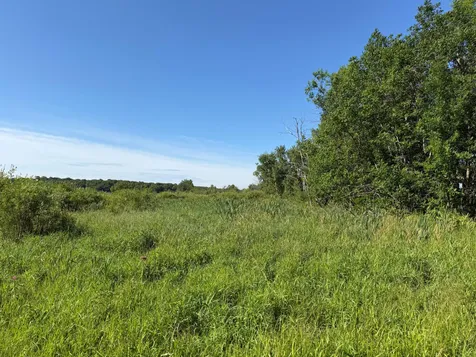 Tbd 215th Avenue Long Prairie MN 56347
