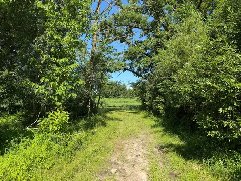 Tbd 215th Avenue Long Prairie MN 56347