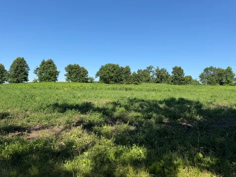 Tbd 215th Avenue Long Prairie MN 56347