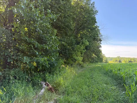 Tbd 215th Avenue Long Prairie MN 56347