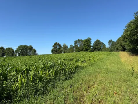 Tbd 215th Avenue Long Prairie MN 56347
