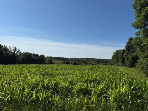 Tbd 215th Avenue Long Prairie MN 56347