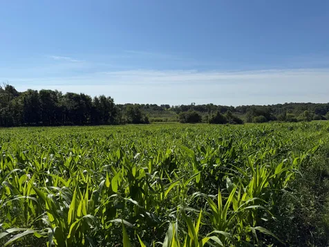 Tbd 215th Avenue Long Prairie MN 56347
