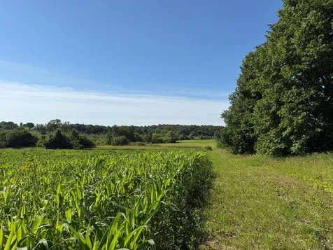 Tbd 215th Avenue Long Prairie MN 56347