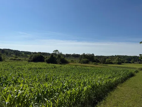 Tbd 215th Avenue Long Prairie MN 56347