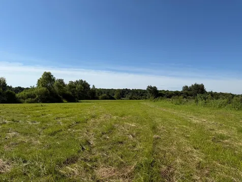 Tbd 215th Avenue Long Prairie MN 56347