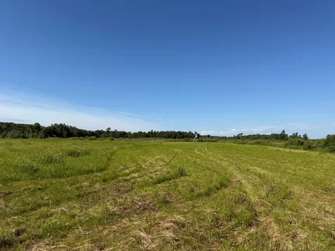 Tbd 215th Avenue Long Prairie MN 56347