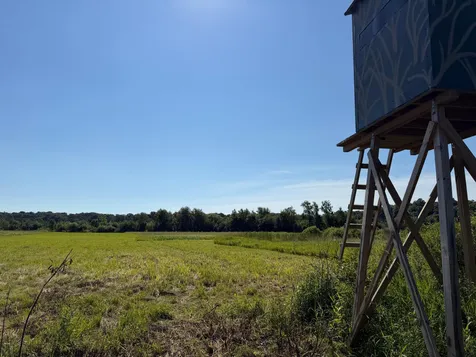 Tbd 215th Avenue Long Prairie MN 56347