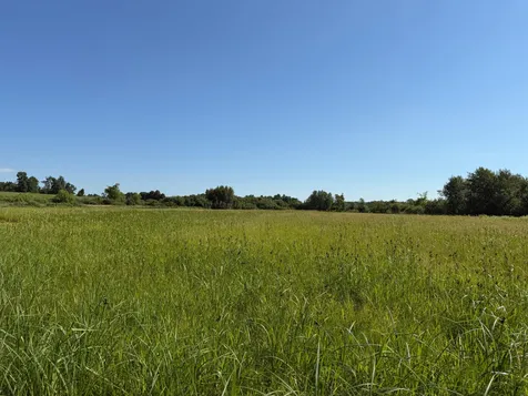 Tbd 215th Avenue Long Prairie MN 56347