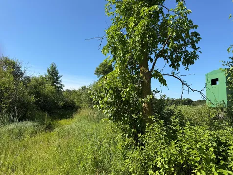 Tbd 215th Avenue Long Prairie MN 56347