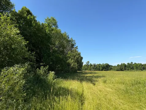 Tbd 215th Avenue Long Prairie MN 56347