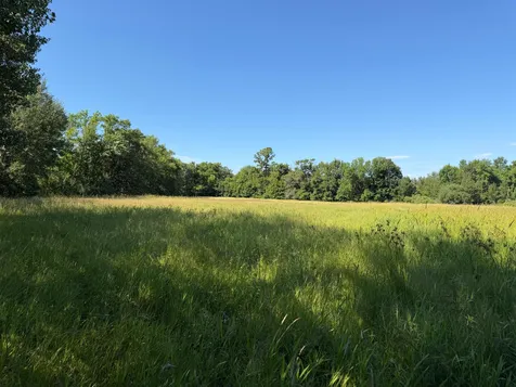 Tbd 215th Avenue Long Prairie MN 56347