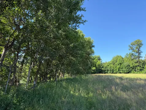 Tbd 215th Avenue Long Prairie MN 56347