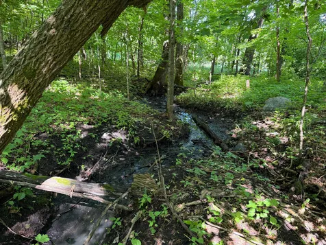 Tbd 215th Avenue Long Prairie MN 56347