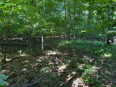 Tbd 215th Avenue Long Prairie MN 56347