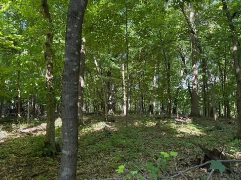 Tbd 215th Avenue Long Prairie MN 56347