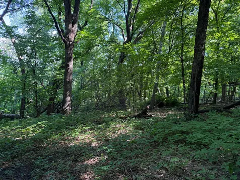 Tbd 215th Avenue Long Prairie MN 56347