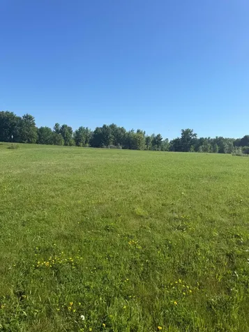 Tbd Hummingbird Way SW Alexandria MN 56308