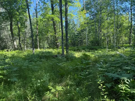 31032 280th Street Aitkin MN 56431