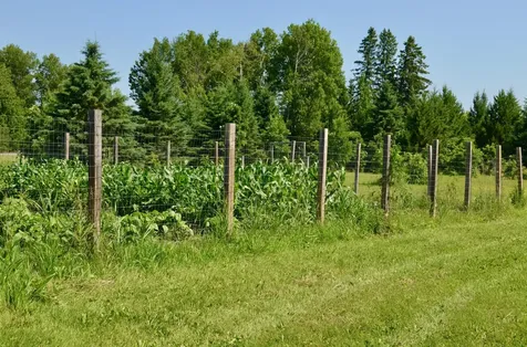6438 Highway 29 Van Buren Twp MN 55736