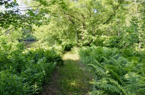6438 Highway 29 Van Buren Twp MN 55736