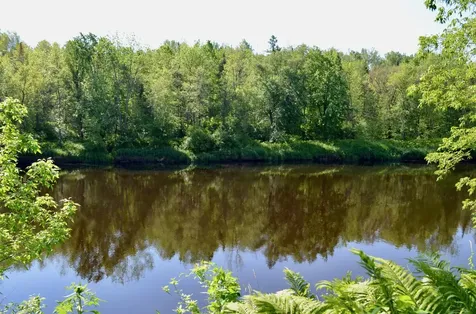 6438 Highway 29 Van Buren Twp MN 55736