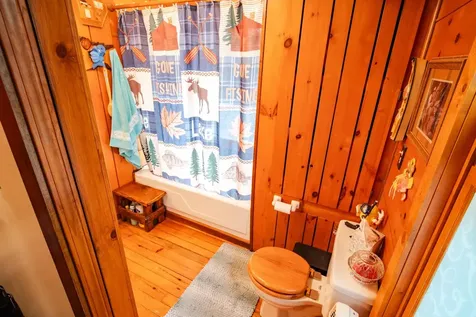 1922 Vellieux Island International Falls MN 56649