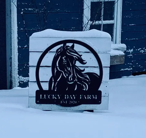 29190 Sunset Trail Cannon Falls MN 55009
