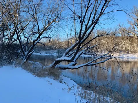 29190 Sunset Trail Cannon Falls MN 55009